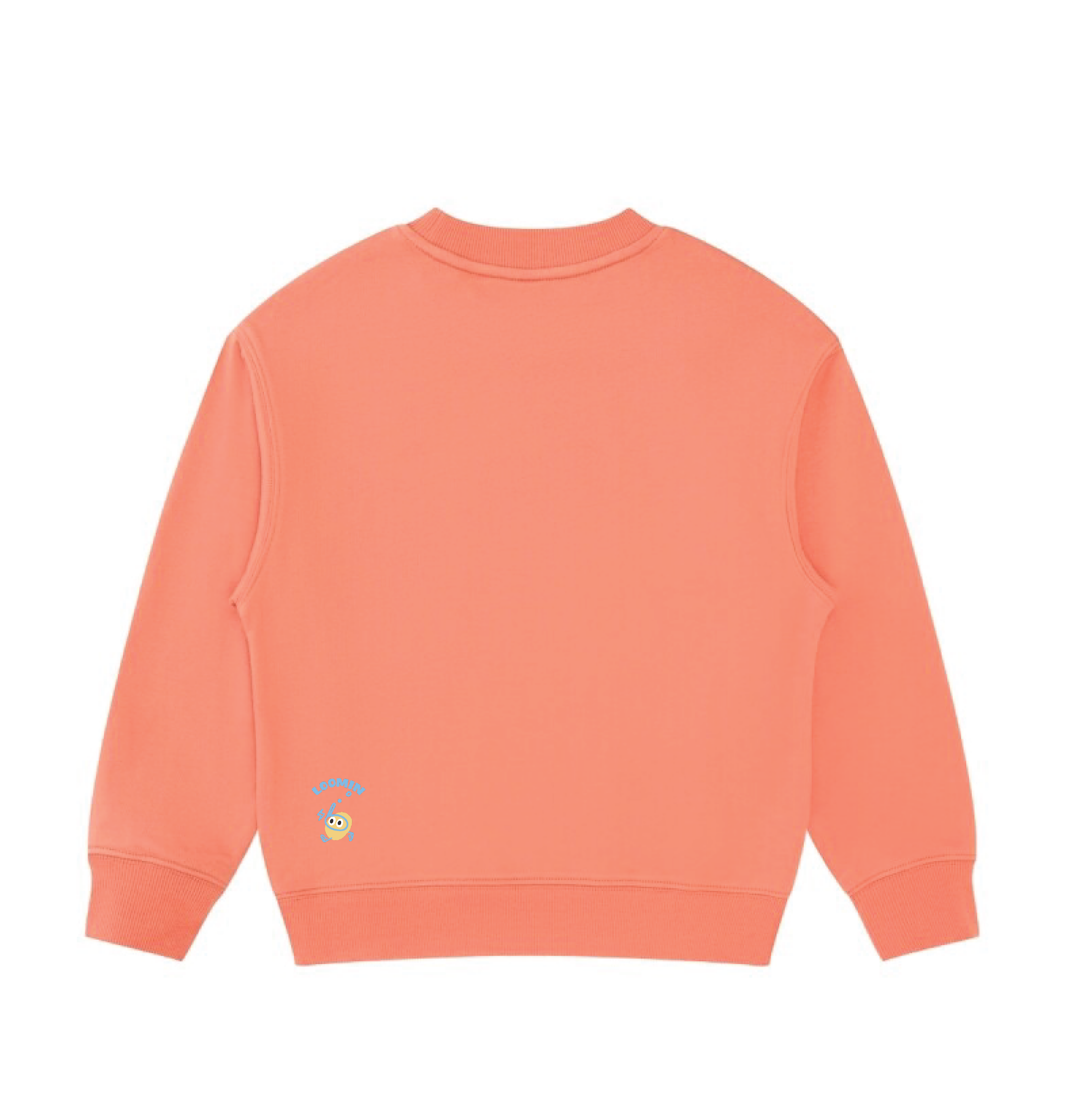 Its time to dream - Sweater